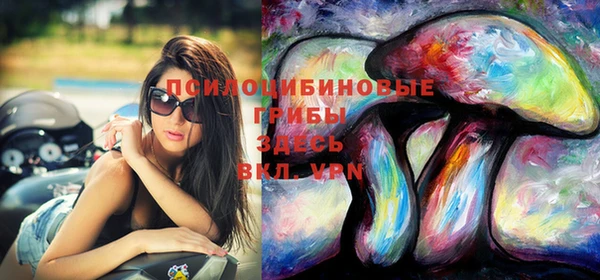 СК Лиски