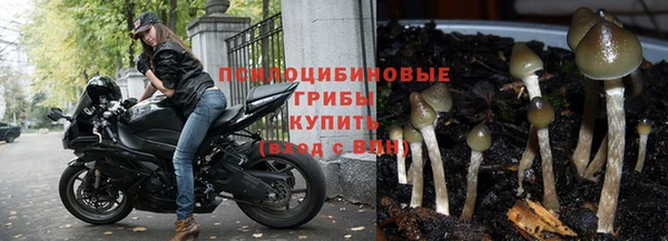 мдпв Магас