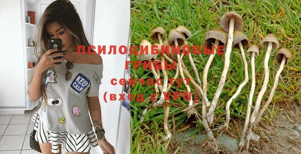 спайс Майский
