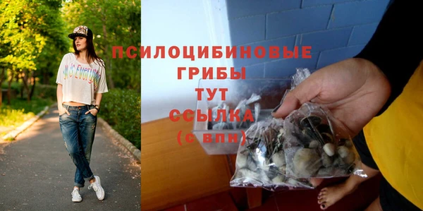 индика Липки