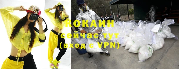 индика Липки