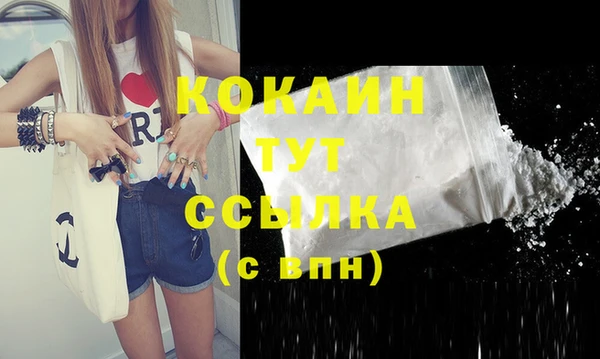 мдпв Магас