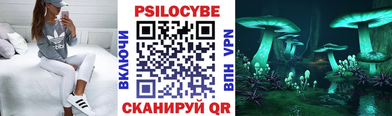 Псилоцибиновые грибы Psilocybe  мега ссылки  Петров Вал 